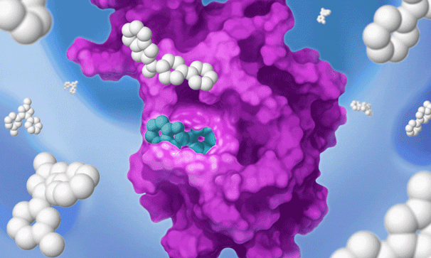 Displacement of teal molecule from pocket on purple protein and subsequent binding of white drug-like molecule inside pocket.