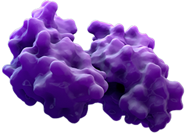 Still 3D rendering of purple and teal protein structures.